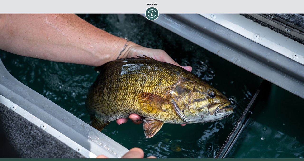 Create a Pre-Fishing Trip Checklist: A Bass Pro Shops Outdoor World Tip